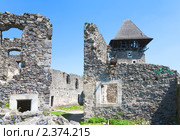 Невицкий замок. Стоковое фото, фотограф Юрий Брыкайло / Фотобанк Лори