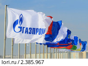 Флаг ОАО "Газпром" на фоне неба и флагов городов Ямала (2011 год). Редакционное фото, фотограф Григорий Писоцкий / Фотобанк Лори