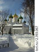 Суздаль. Спасо-Преображенский собор в Спасо-Евфимиеве монастыре (2011 год). Редакционное фото, фотограф Gagara / Фотобанк Лори