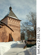 Башня Спасо-Евфимиева монастыря в Суздале (2011 год). Редакционное фото, фотограф Gagara / Фотобанк Лори