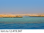 Египет, заповедник Рас Мухаммед ( Расс Мохаммед ) (2008 год). Стоковое фото, фотограф ElenArt / Фотобанк Лори