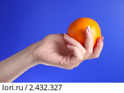 Женщина держит в руке апельсин на синем фоне. Стоковое фото, фотограф AlphaBravo / Фотобанк Лори