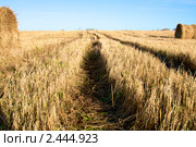 Колея в поле. Стоковое фото, фотограф Константин Безденежных / Фотобанк Лори
