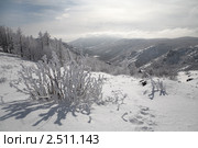 "Заснеженный перевал"( горное ущелье, Абзаково, Башкирия) Стоковое фото, фотограф BoLinar / Фотобанк Лори