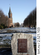 Калининград. Кафедральный собор (2011 год). Редакционное фото, фотограф Наталья Белотелова / Фотобанк Лори