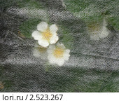Агроволокно над клубникой. Стоковое фото, фотограф Короленко Елена / Фотобанк Лори