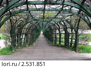 Усадьба Архангельское, пергола (2009 год). Редакционное фото, фотограф Артем Севостьянов / Фотобанк Лори