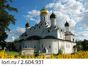 Церковь Николая Чудотворца в Николо-Урюпино. Московская область (2011 год). Стоковое фото, фотограф lana1501 / Фотобанк Лори