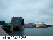 Белые ночи в Санкт-Петербурге. Разведенный Биржевой мост (2011 год). Стоковое фото, фотограф Ольга Визави / Фотобанк Лори