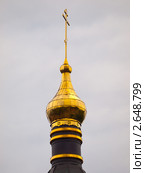 Купол церкви Александра Невского в Звенигороде (2011 год). Стоковое фото, фотограф Михаил Феоктистов / Фотобанк Лори
