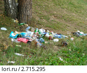 Мусор  в лесу (2011 год). Редакционное фото, фотограф lana1501 / Фотобанк Лори