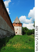 Зарайск. Кремль (2011 год). Редакционное фото, фотограф lana1501 / Фотобанк Лори