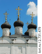 Зарайск. Кремль. Никольский храм (2011 год). Редакционное фото, фотограф lana1501 / Фотобанк Лори