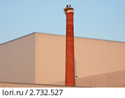 Гнездо аистов на заводской трубе. Стоковое фото, фотограф Юрий Синицын / Фотобанк Лори