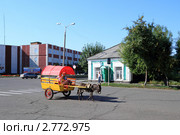 Мальчик и девочка едут на запряженном в повозку ослике. Город Камень-на-Оби, Алтайский край (2011 год). Редакционное фото, фотограф Григорий Писоцкий / Фотобанк Лори