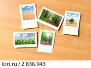 Фотографии природы в рамках на столе. Стоковое фото, фотограф Elnur / Фотобанк Лори