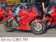 Байкерская тусовка "Смотряк" на Воробьёвых горах. Мотоцикл "Honda" (2011 год). Редакционное фото, фотограф Алёшина Оксана / Фотобанк Лори