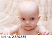 Малыш. Стоковое фото, фотограф Алла Ушакова / Фотобанк Лори