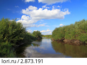 Река Кулунда, Алтайский край. Стоковое фото, фотограф Григорий Писоцкий / Фотобанк Лори