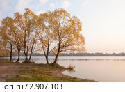 Ранее утро на Белом озере. Золотая осень, октябрь. Стоковое фото, фотограф Наталья Николаева / Фотобанк Лори