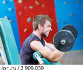Культурист тренируется в спортзале. Стоковое фото, фотограф Дмитрий Калиновский / Фотобанк Лори