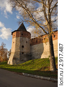 Зарайский кремль (2011 год). Редакционное фото, фотограф Александр Бербасов / Фотобанк Лори