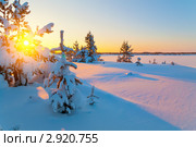 Зимний пейзаж. Закат солнца. Стоковое фото, фотограф Икан Леонид / Фотобанк Лори