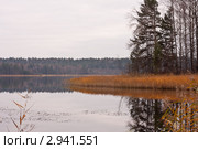 Маленький остров на озере Сапшо (2011 год). Редакционное фото, фотограф Игорь Лавров / Фотобанк Лори