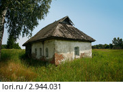Хата. Стоковое фото, фотограф Александр Степанов / Фотобанк Лори