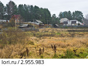 Осень в деревне. Смоленское Поозерье (2011 год). Редакционное фото, фотограф Михаил Широков / Фотобанк Лори