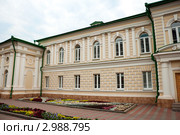 Дом купца Русинова ,  построен в первой половине XIX века, ныне Дворец бракосочетания. Липецк (2011 год). Стоковое фото, фотограф Володина Ольга / Фотобанк Лори