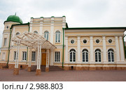 Дом купца Русинова, построен в первой половине XIX века, ныне Дворец бракосочетания. Липецк (2011 год). Стоковое фото, фотограф Володина Ольга / Фотобанк Лори