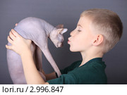 Мальчик держит кошку. Стоковое фото, фотограф Яна Королёва / Фотобанк Лори