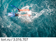 Дайвер нырнул в море. Стоковое фото, фотограф Коваль Василий / Фотобанк Лори