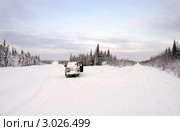 На развилке. Архангельская область (2009 год). Редакционное фото, фотограф Охотникова Екатерина *Фототуристы* / Фотобанк Лори