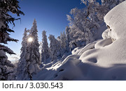Зимний пейзаж с заснеженными деревьями. Стоковое фото, фотограф Евгений Прокофьев / Фотобанк Лори