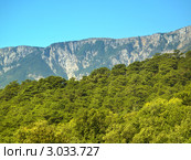 Горные вершины Крыма (2011 год). Стоковое фото, фотограф Алексей Пантелеев / Фотобанк Лори