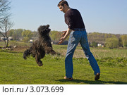Мужчина дрессирует собаку. Стоковое фото, фотограф Игорь Низов / Фотобанк Лори