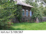 Деревенский дом (2011 год). Стоковое фото, фотограф Анатолий Матвейчук / Фотобанк Лори