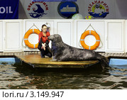 Тюлень и дрессировщица в океанариуме Мурманска (2008 год). Редакционное фото, фотограф Михаил Марковский / Фотобанк Лори