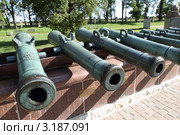 Бородино. Музей на Бородинском поле (2011 год). Редакционное фото, фотограф Дмитрий Неумоин / Фотобанк Лори