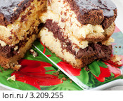 Лакомый кусочек. Стоковое фото, фотограф Короленко Елена / Фотобанк Лори