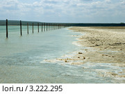 Соленое озеро Баскунчак (2011 год). Редакционное фото, фотограф Надежда Болотина / Фотобанк Лори