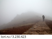 Фотограф уходит в туман на перевал горной вершины Пику-ду-Арьейру 1810 м. Стоковое фото, фотограф Виктория Катьянова / Фотобанк Лори