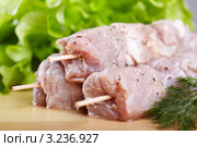 Маринованное мясо для приготовления шашлыка. Стоковое фото, фотограф Галина Михалишина / Фотобанк Лори