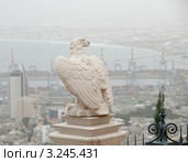 Белый орёл. Стоковое фото, фотограф Сергей Бойков / Фотобанк Лори