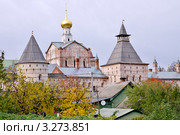 Ростов Великий. Церковь Спаса на сенях в Ростовском кремле (2011 год). Редакционное фото, фотограф Илюхина Наталья / Фотобанк Лори