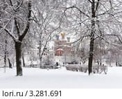 Зимние кружева Новодевичьего монастыря (2012 год). Стоковое фото, фотограф Павел Широков / Фотобанк Лори