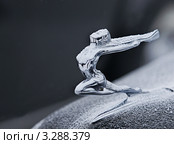 Эмблема на капоте автомобиля Buick 40 Special? 1935г (2012 год). Редакционное фото, фотограф Михаил Борсов / Фотобанк Лори