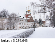 Снежной зимой в Новодевичьем монастыре (2012 год). Стоковое фото, фотограф Павел Широков / Фотобанк Лори